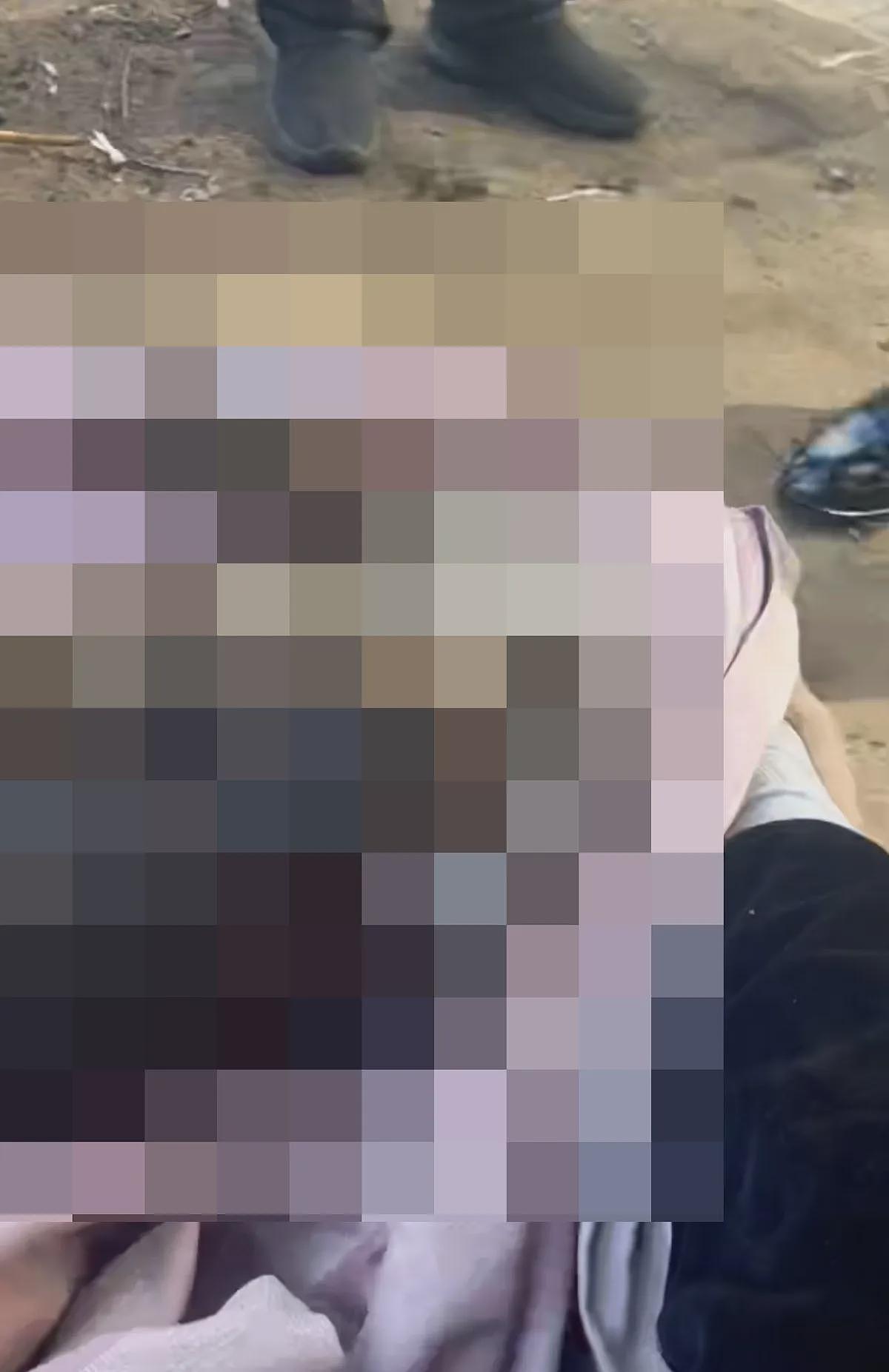 令人发指!熊孩子纵火烧死萨摩耶,惨叫3分钟残忍画面曝(视频/组图) - 8