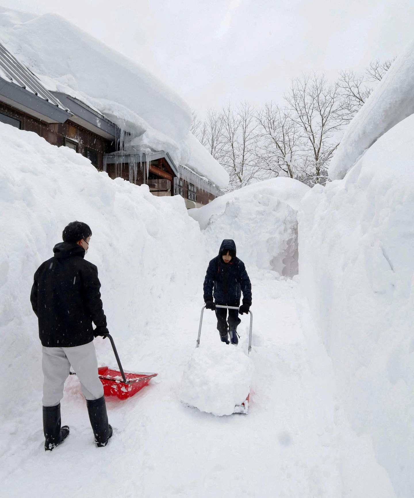 日本暴雪30死324伤 青森县酸汤积雪4.5米 91岁妇遭3米雪堆活埋(组图) - 3