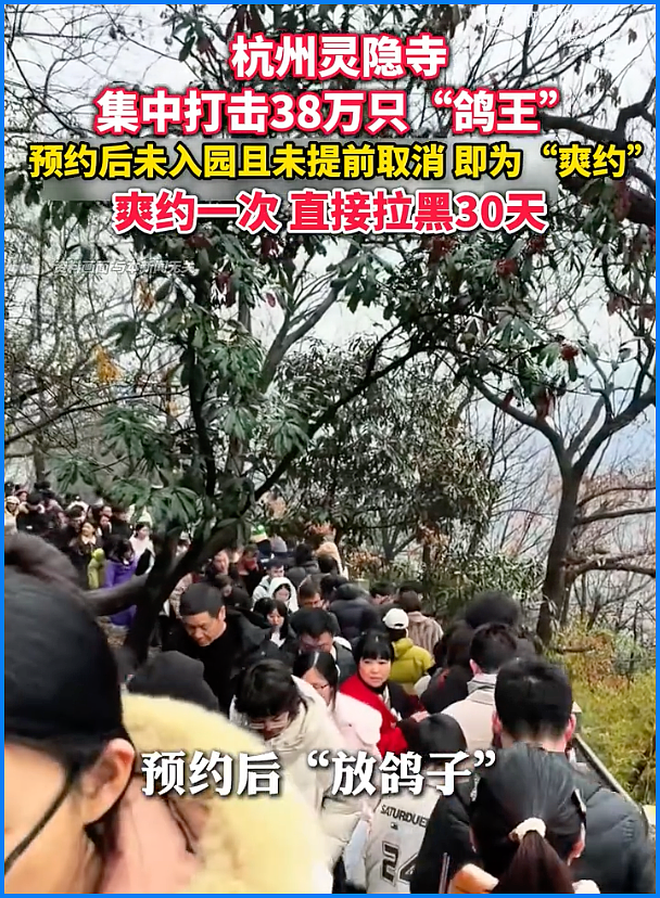 56天38万人“放鸽子”？灵隐寺被逼疯：对佛祖“已读不回”，直接拉黑30天！（组图） - 3