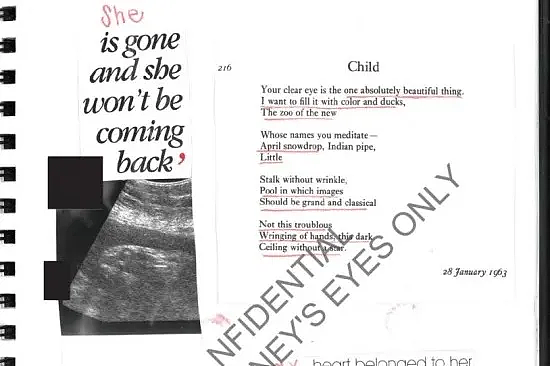 爱泼斯坦曾开“婴儿牧场”？英前王妃助他全球猎艳寻“孵化器”，批量育种造基因库（组图） - 10