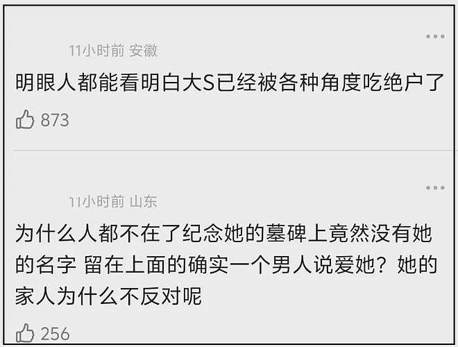 S家洗白失败！韩国综艺锤了小S忽视姐姐病情，推卸责任甩锅给大S（组图） - 24