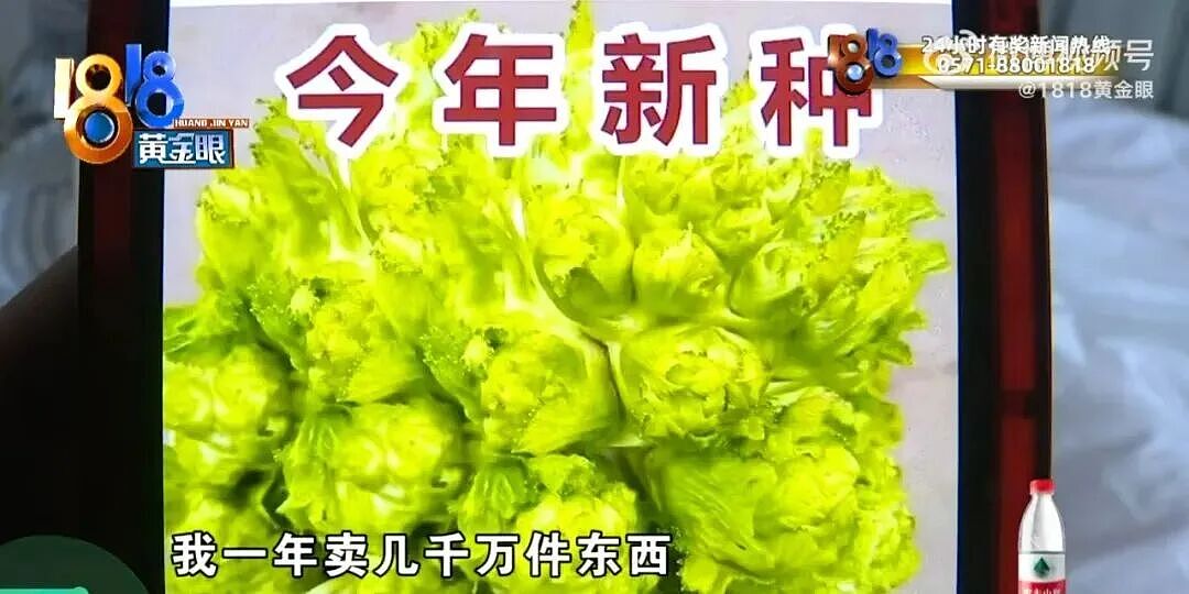“夫妻网购娃娃菜中毒事件”三次炸裂反转，全网见证一对蠢人的巅峰（组图） - 7