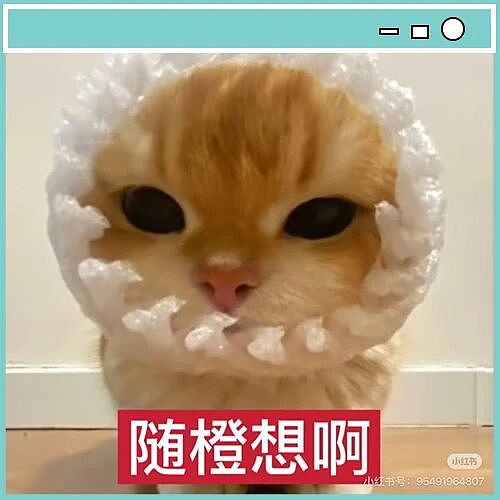 【爆笑】“违章抓拍拍出了人生高光照片…?”哈哈哈花了钱就是拍的很曼妙(组图) - 2