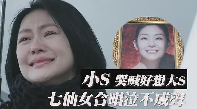 S家洗白失败！韩国综艺锤了小S忽视姐姐病情，推卸责任甩锅给大S（组图） - 14
