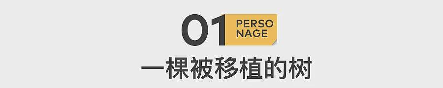 AI教母李飞飞:一个洗衣妹,去年身价涨了300亿(组图) - 3