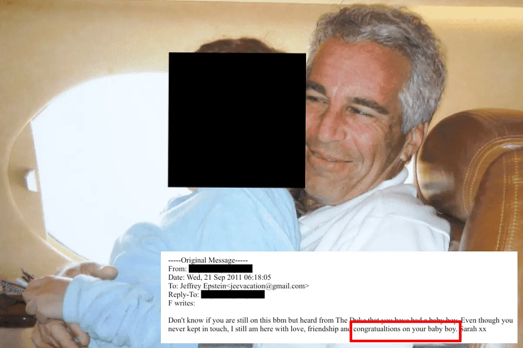 爱泼斯坦曾开“婴儿牧场”？英前王妃助他全球猎艳寻“孵化器”，批量育种造基因库（组图） - 8