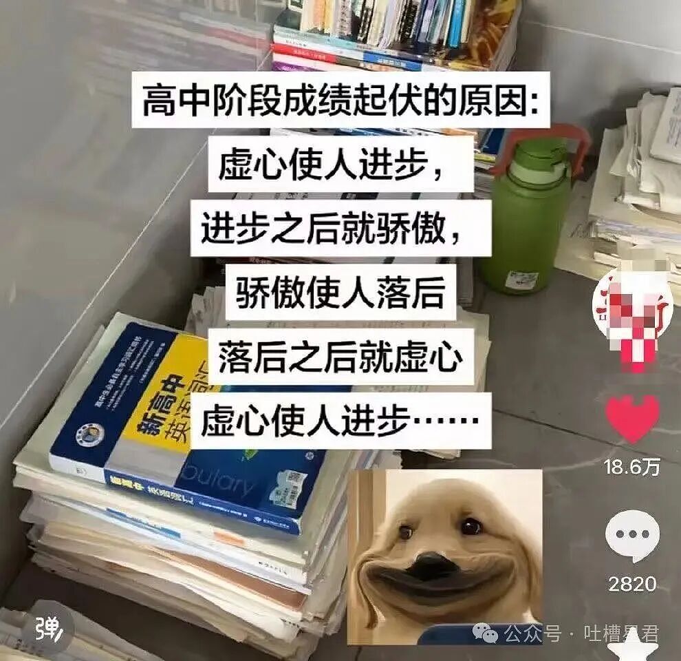 【爆笑】“好消息闺蜜出嫁了坏消息嫁到我家了…？”哈哈哈这是给自己挑了个德华（组图） - 74
