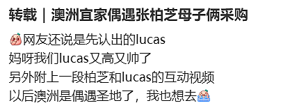 张柏芝母子低调现身澳洲！华人偶遇：Lucas颜值超高，帅到挪不开（组图） - 1