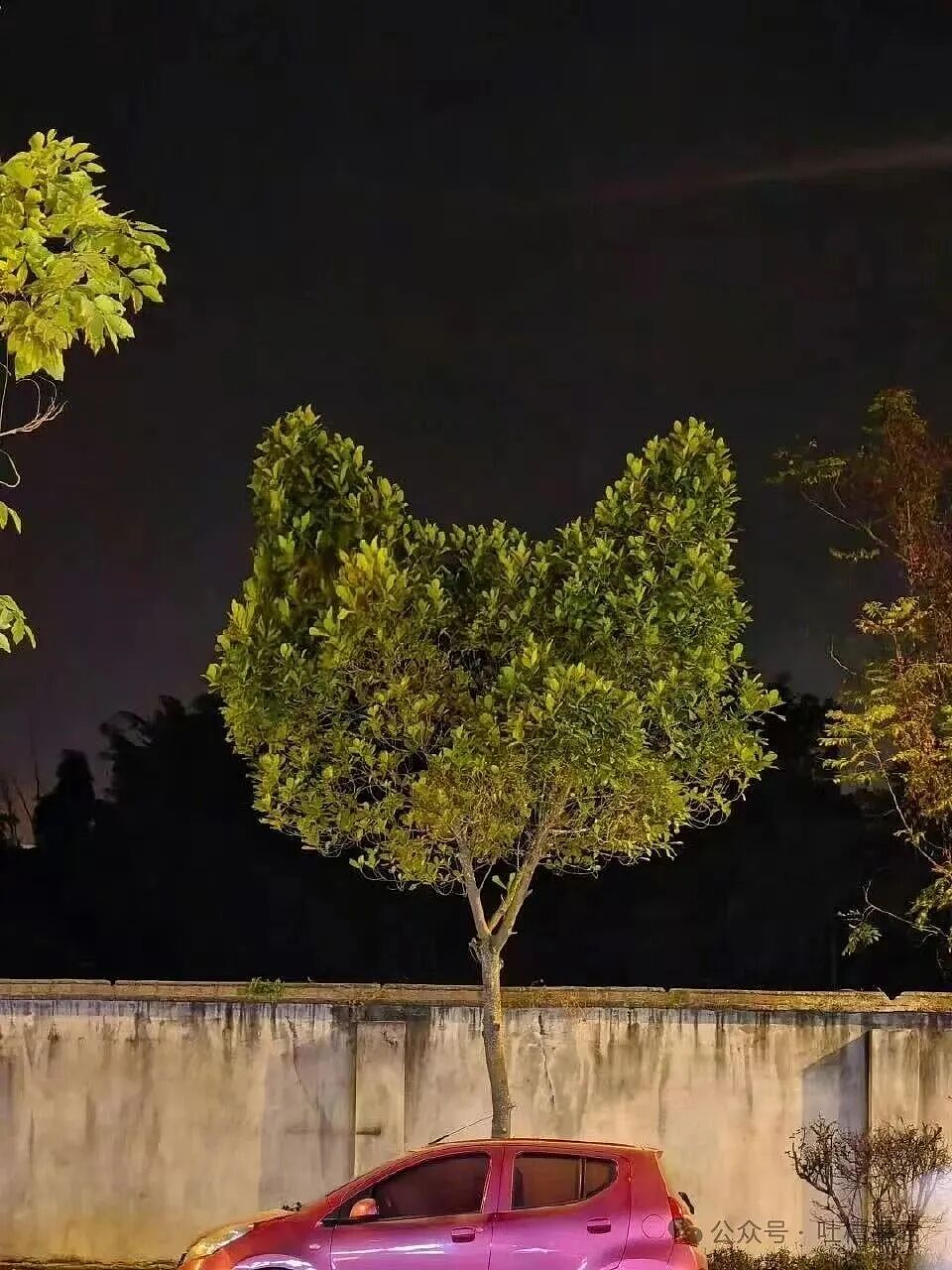 【爆笑】“好消息闺蜜出嫁了坏消息嫁到我家了…？”哈哈哈这是给自己挑了个德华（组图） - 34