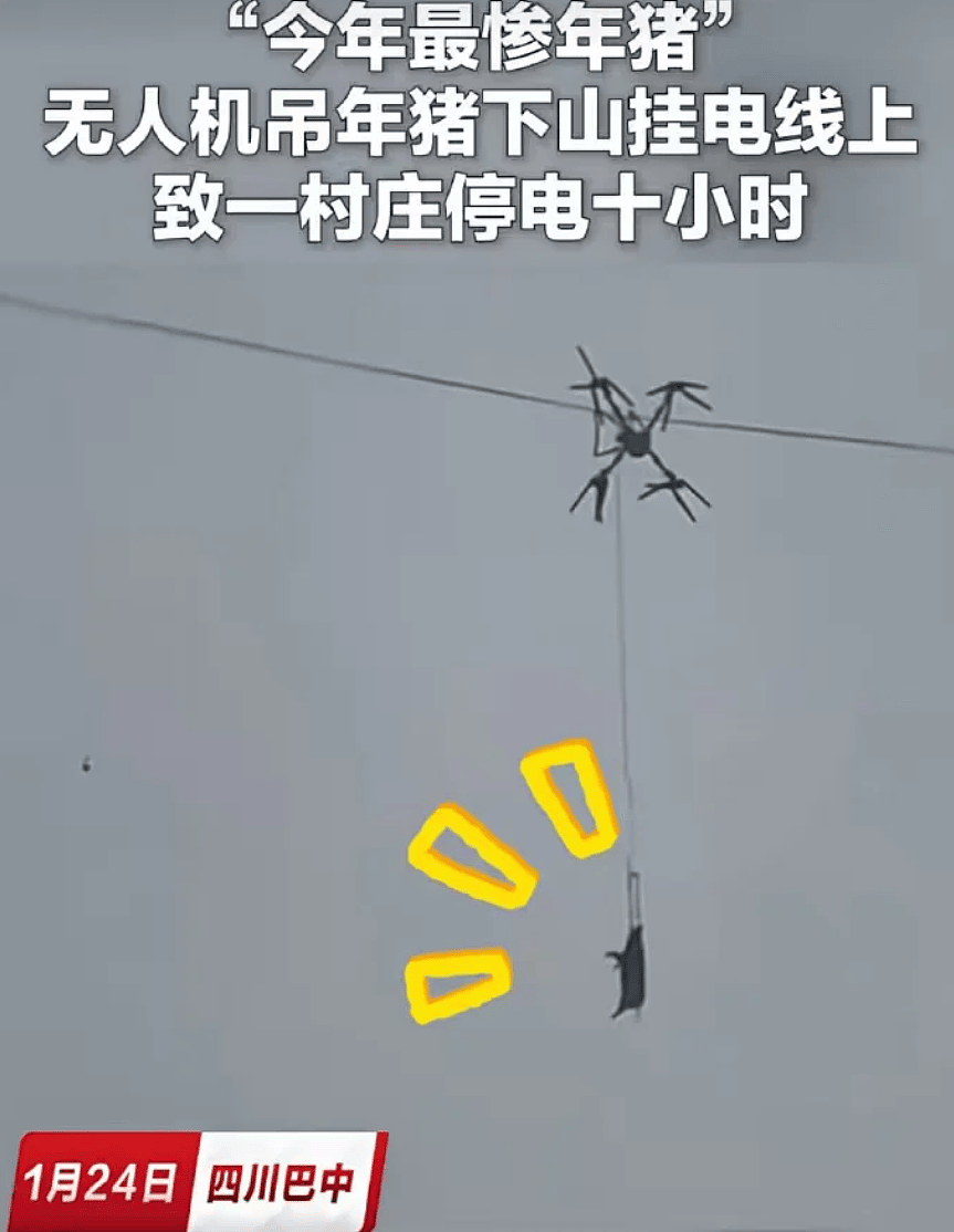 高科技接地气!无人机飞猪,机械狗拉货(组图) - 1