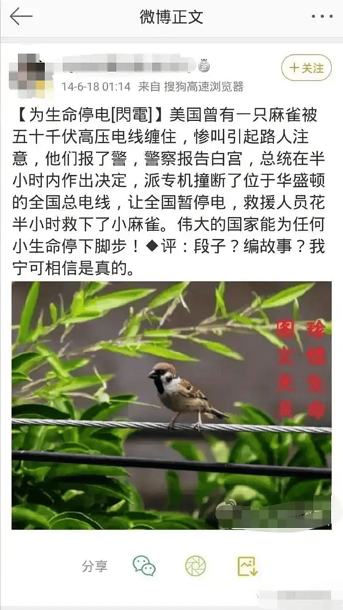 高科技接地气!无人机飞猪,机械狗拉货(组图) - 3