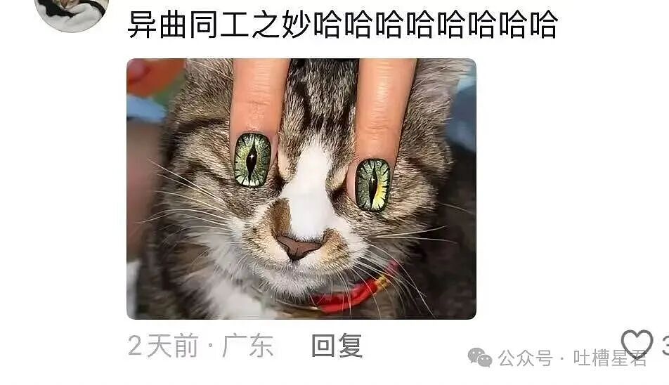 【爆笑】“好消息闺蜜出嫁了坏消息嫁到我家了…？”哈哈哈这是给自己挑了个德华（组图） - 20