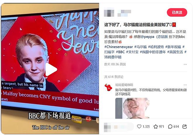 五福玩梗惊动BBC,这届网友的文化输出有多强?(组图) - 5