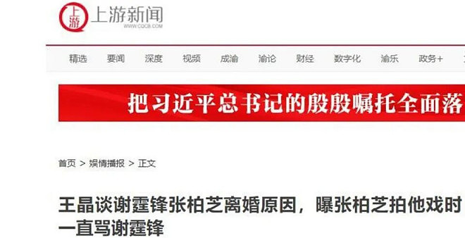 向华强没给谢霆锋留一丝体面!原来张柏芝没说谎(组图) - 17