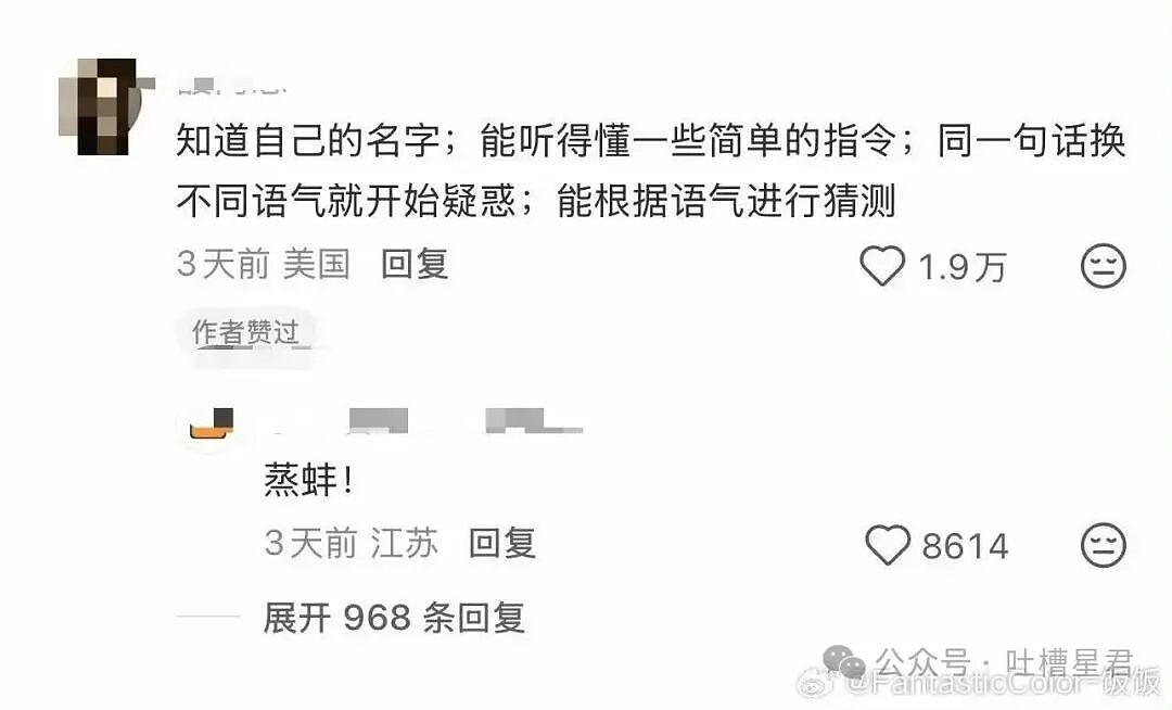 【爆笑】“好消息闺蜜出嫁了坏消息嫁到我家了…？”哈哈哈这是给自己挑了个德华（组图） - 58