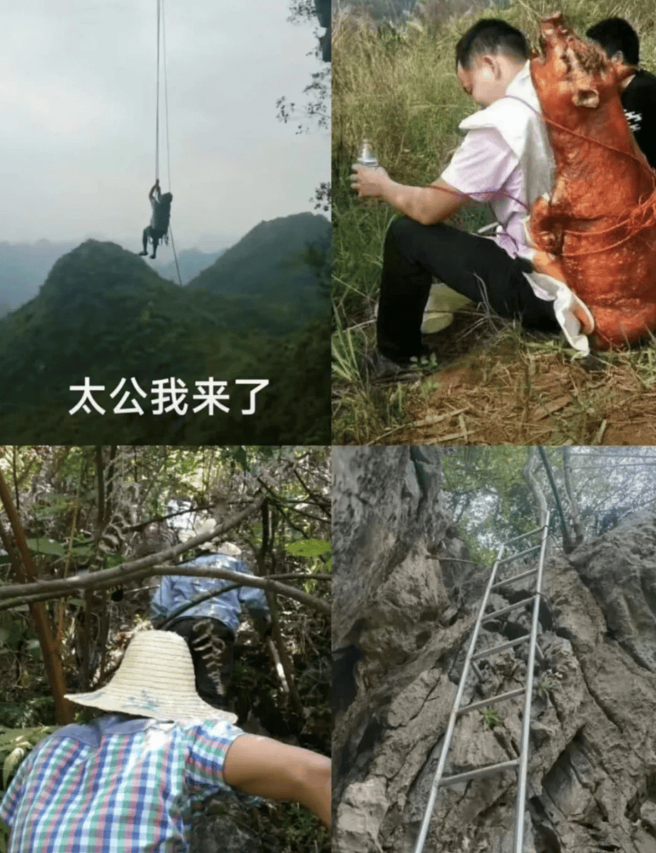 高科技接地气!无人机飞猪,机械狗拉货(组图) - 8