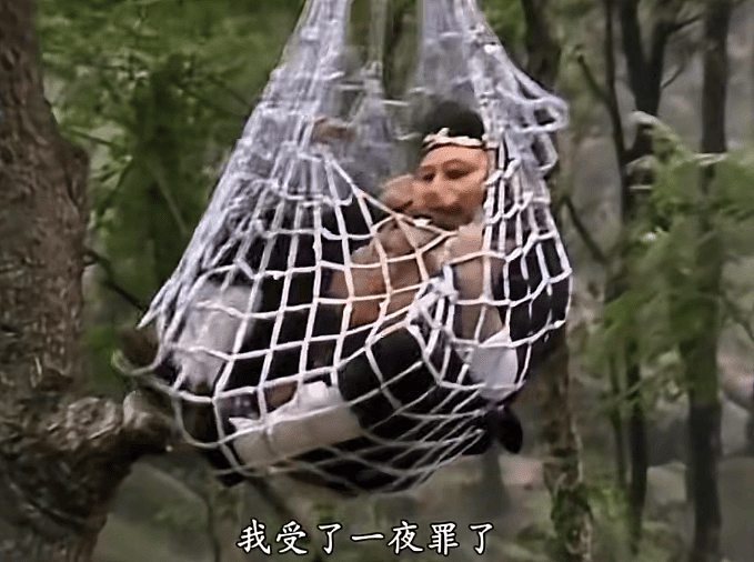 高科技接地气!无人机飞猪,机械狗拉货(组图) - 4