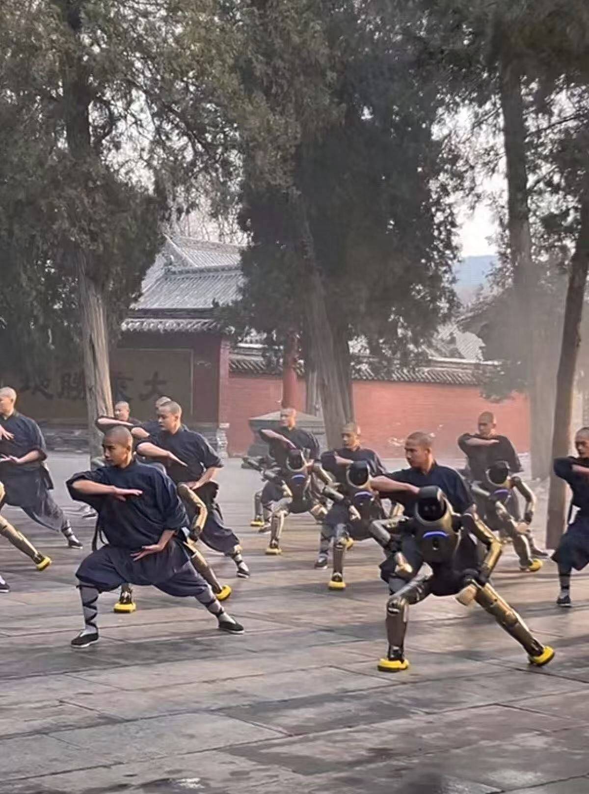 杨丽萍岳云鹏领衔!河南春晚官宣第二波阵容...(组图) - 1