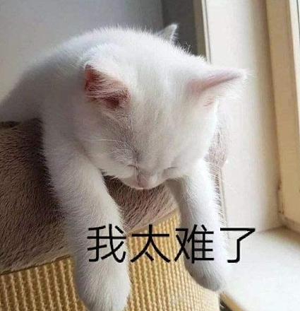 多名中国美女网红自曝入境新加坡被拒：关“小黑屋”查手机、当场遣返！只因…（组图） - 26