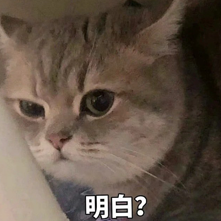 多名中国美女网红自曝入境新加坡被拒：关“小黑屋”查手机、当场遣返！只因…（组图） - 11