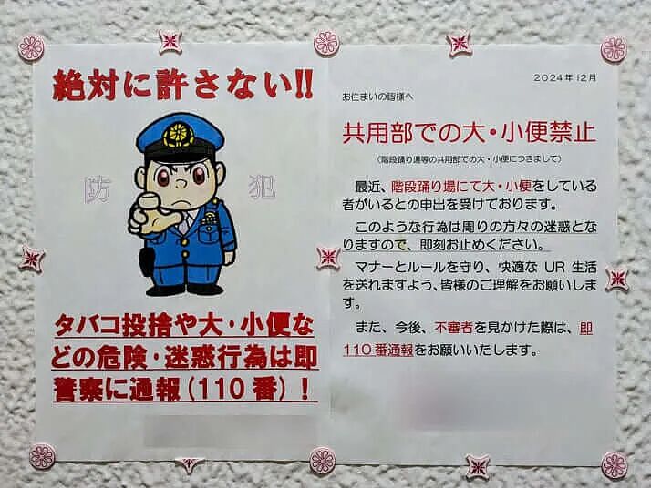 日本公寓清洁工吐槽中国住户在楼道里排泄！从阳台扔垃圾，1个房间住3个家庭（组图） - 6