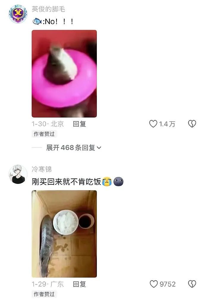 【爆笑】男朋友逛街给我买了台车？网友无语：咋送礼物还贷款送呢（组图） - 41