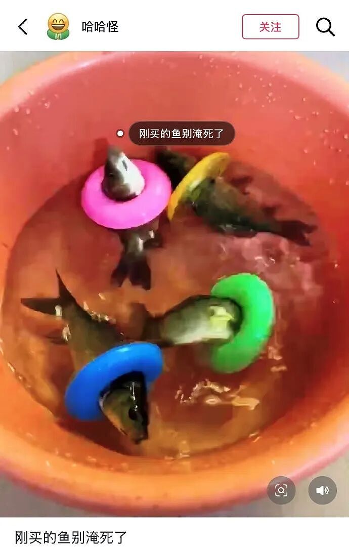 【爆笑】男朋友逛街给我买了台车？网友无语：咋送礼物还贷款送呢（组图） - 38