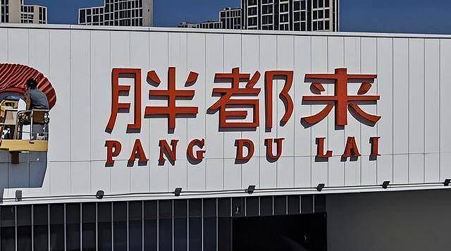 郭晶晶出事后，成龙、丁勇岱接连受到牵连，王志文真没说错（组图） - 12