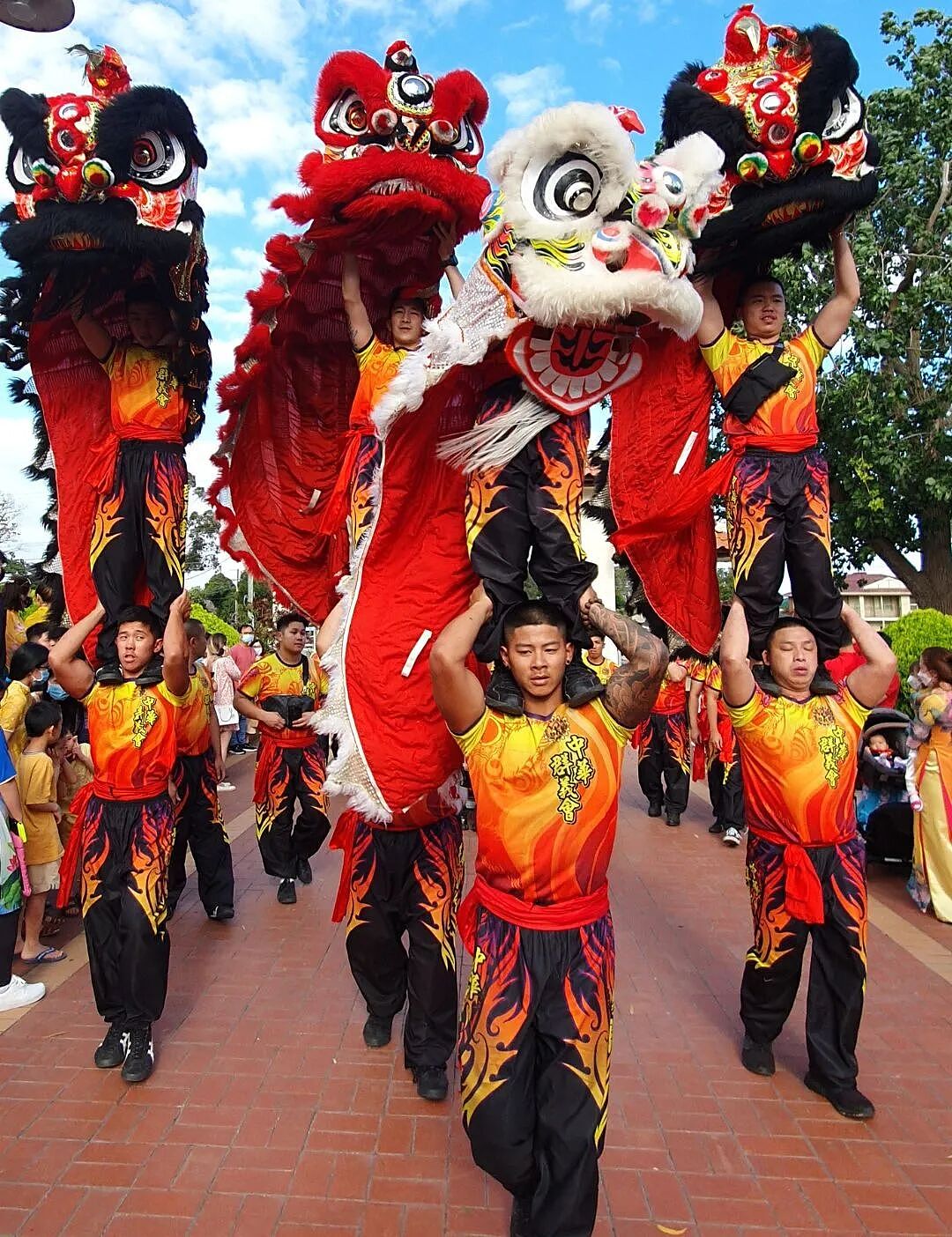 庆祝2026马年农历新年!墨尔本免费活动大盘点(组图) - 4