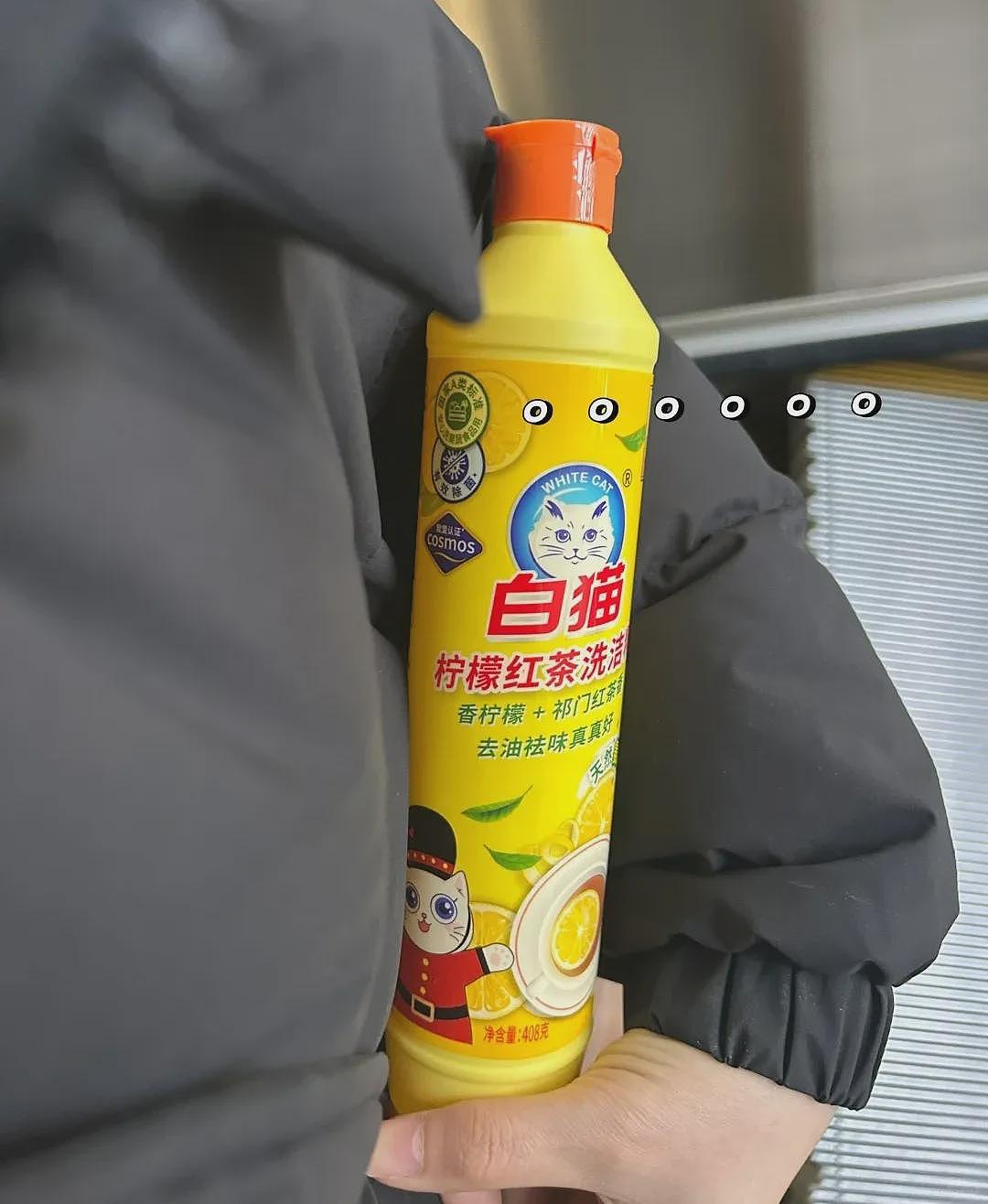 【宠物】好消息:公司年会抽中了一只白猫!坏消息:这猫不吃不喝还没心跳(组图) - 2