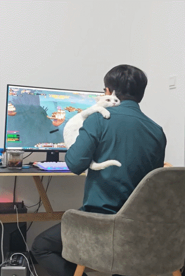 【宠物】好消息:公司年会抽中了一只白猫!坏消息:这猫不吃不喝还没心跳(组图) - 15