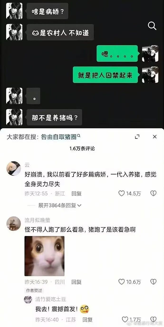 【爆笑】男朋友喜欢和男同事聊天，还叫对方妹妹（组图） - 16