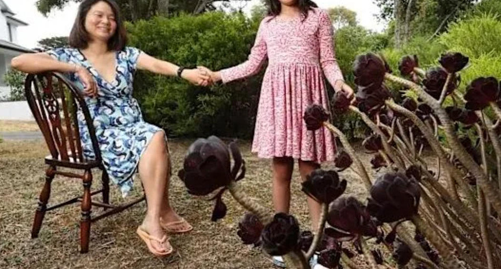 货比三十家！为给女儿找个好学校，澳洲华人妈妈考察30所学校！最后选了...（组图） - 2