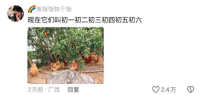 【爆笑】男朋友订婚前把送的五金都改成银的，结果全网劝我直接选一副手铐？看到评论区后：笑疯了......（组图） - 15