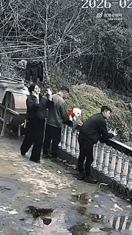 【爆笑】男朋友订婚前把送的五金都改成银的，结果全网劝我直接选一副手铐？看到评论区后：笑疯了......（组图） - 7