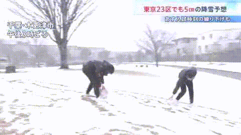 日本发布警报级大雪！97班飞机被取消，1万2400人出行受影响！日推被大雪刷爆！（组图） - 8