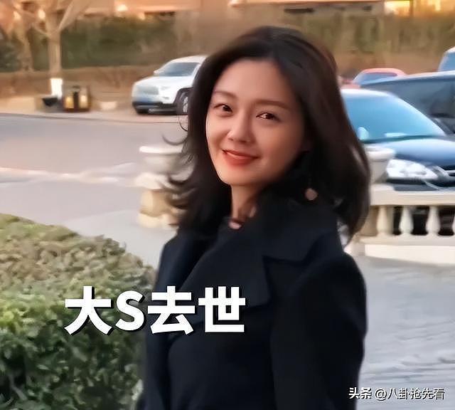 又较上劲了！大S律师发声后，张兰律师质疑具俊晔，大S心愿难了（组图） - 2