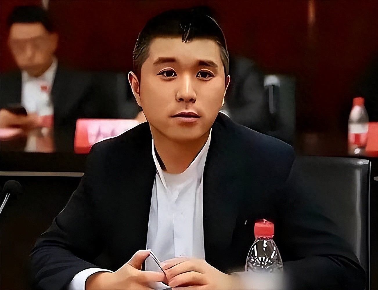卷款53亿！又一 “成功人士”逃离中国（组图） - 1