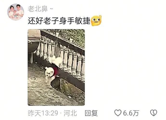 【爆笑】男朋友订婚前把送的五金都改成银的，结果全网劝我直接选一副手铐？看到评论区后：笑疯了......（组图） - 8