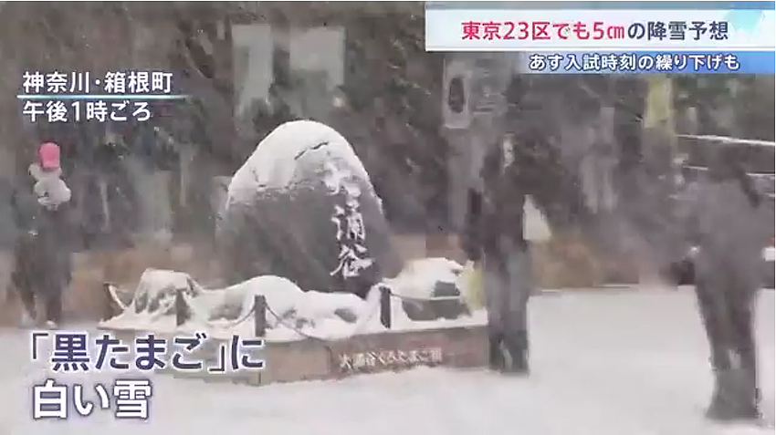 日本发布警报级大雪！97班飞机被取消，1万2400人出行受影响！日推被大雪刷爆！（组图） - 17