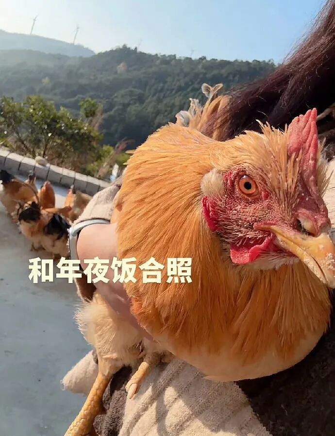 【爆笑】男朋友订婚前把送的五金都改成银的，结果全网劝我直接选一副手铐？看到评论区后：笑疯了......（组图） - 14