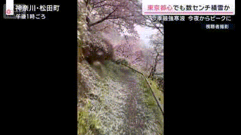 日本发布警报级大雪！97班飞机被取消，1万2400人出行受影响！日推被大雪刷爆！（组图） - 6