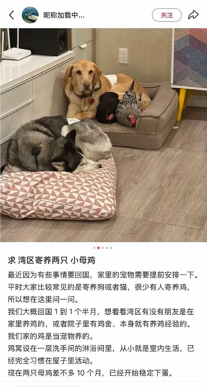 【爆笑】网友偶遇陈冠希一起拍了合照后，结果...？网友笑疯：港媒都要甘拜下风！（组图） - 29