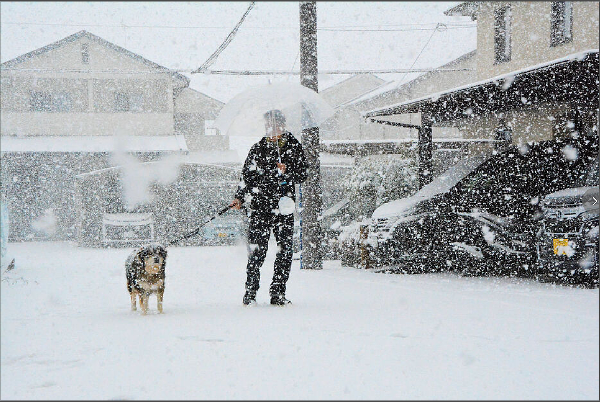 日本发布警报级大雪！97班飞机被取消，1万2400人出行受影响！日推被大雪刷爆！（组图） - 27