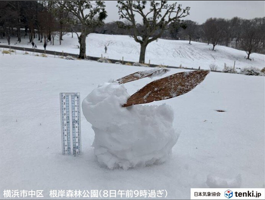 日本发布警报级大雪！97班飞机被取消，1万2400人出行受影响！日推被大雪刷爆！（组图） - 5