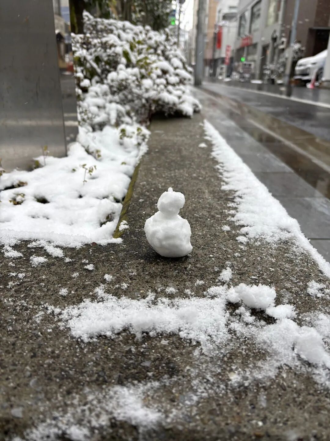 日本发布警报级大雪！97班飞机被取消，1万2400人出行受影响！日推被大雪刷爆！（组图） - 15