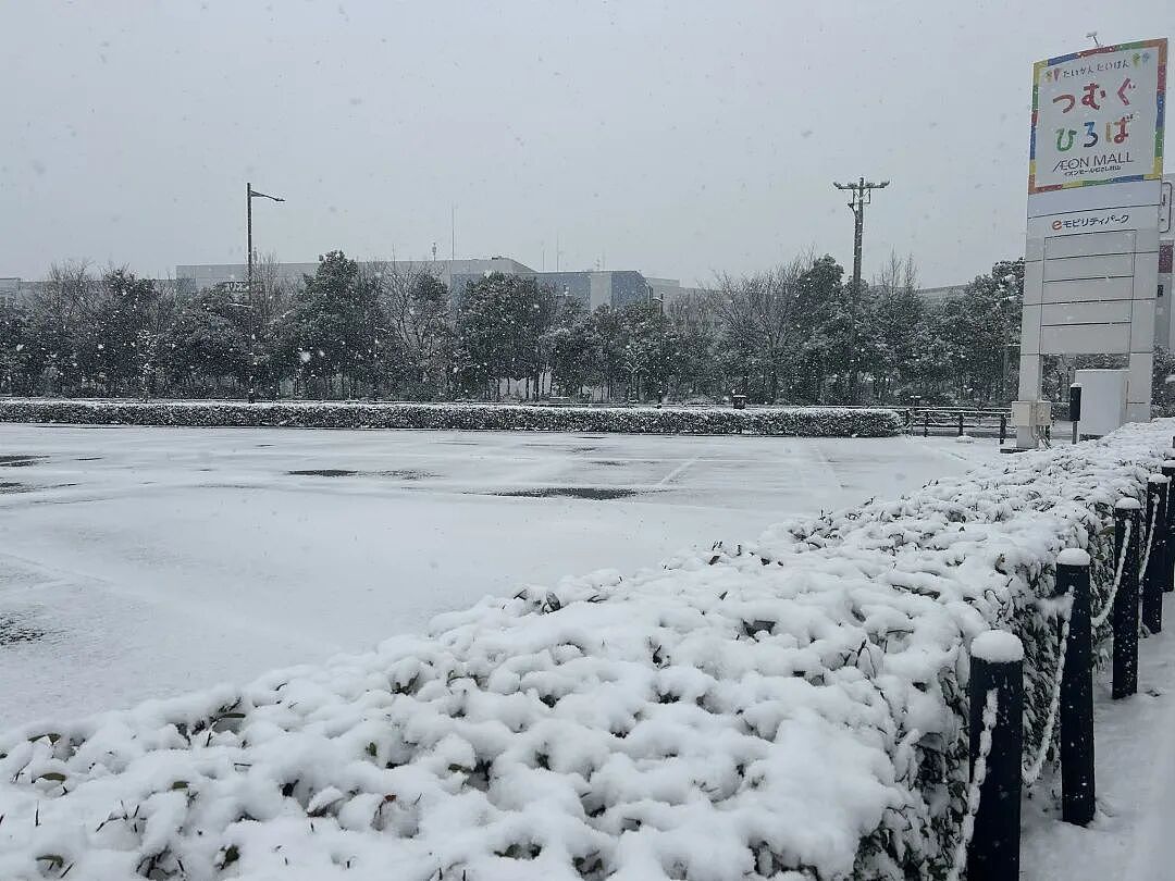 日本发布警报级大雪！97班飞机被取消，1万2400人出行受影响！日推被大雪刷爆！（组图） - 14