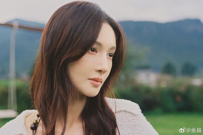 金晨正式被实锤肇事逃逸!她虽然是因伤就医,但后续未向交警解释(组图) - 4