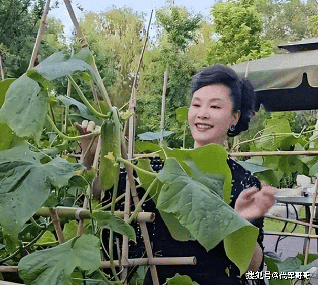 59岁于文华近况曝光！离婚后带女儿嫁给粉丝，如今尽情享受田园生活（组图） - 10