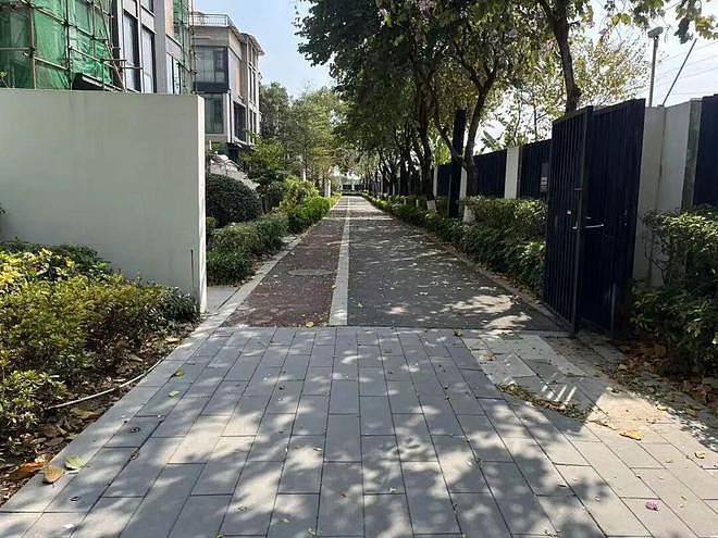 男子在小区周边投毒，致10只宠物狗死亡：称“长期受噪音粪便等问题困扰”，获刑1年10个月（组图） - 4